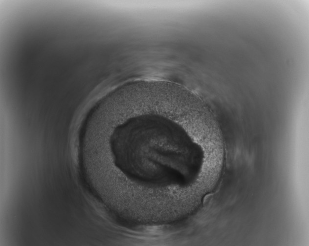 X0000089850295200707051120