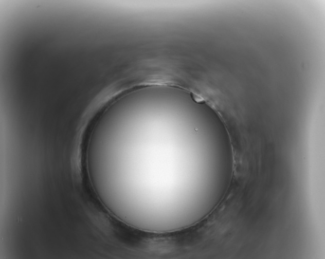 X0000089850296200707051120