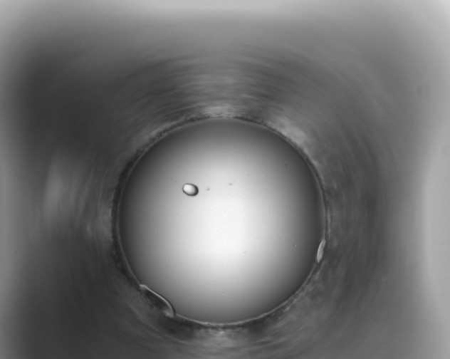 X0000089850297200707051120