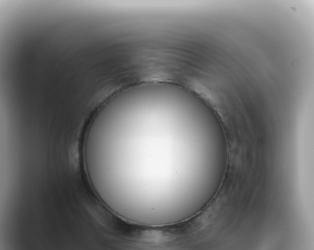 X0000089850298200707051120