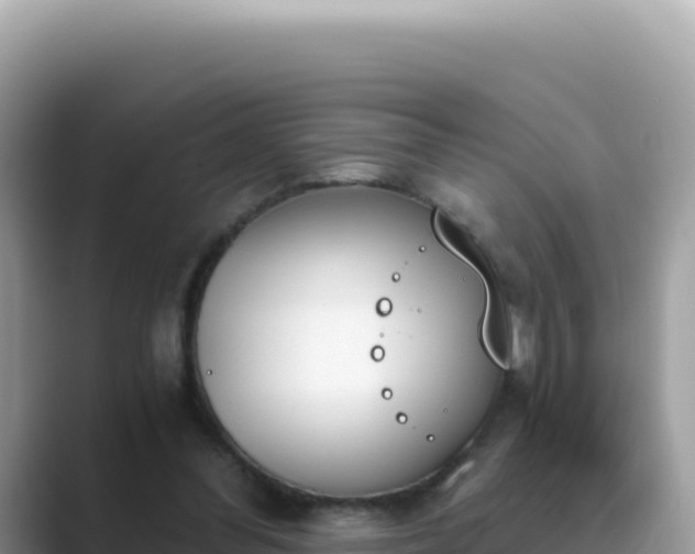 X0000089850300200707051120