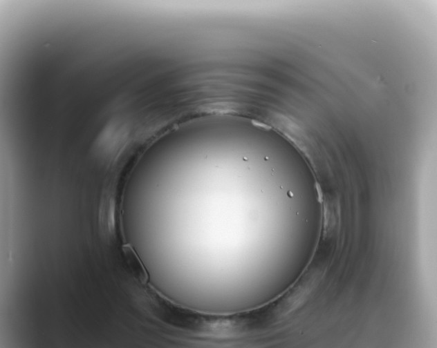 X0000089850301200707051120
