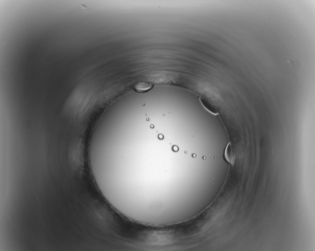 X0000089850303200707051120