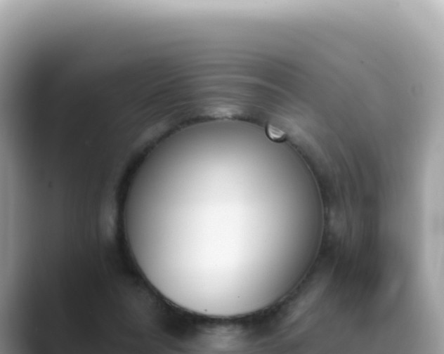 X0000089850304200707051120