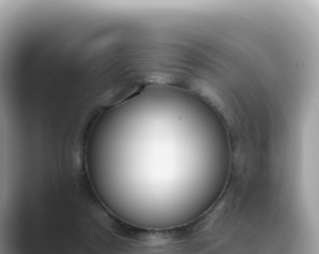 X0000089850305200707051120