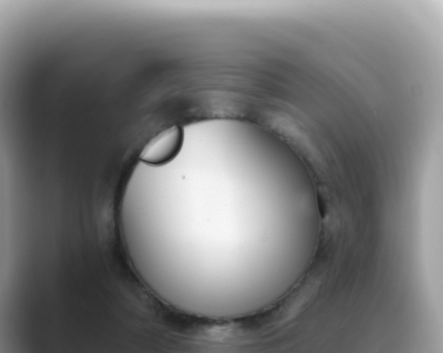 X0000089850306200707051120