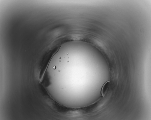 X0000089850307200707051120