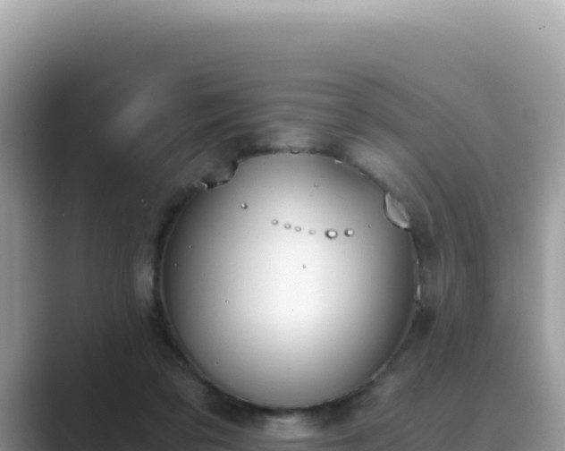X0000089850309200707051120