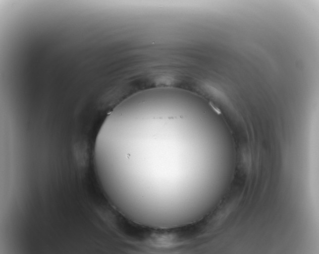 X0000089850311200707051120