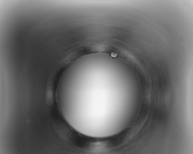 X0000089850312200707051120