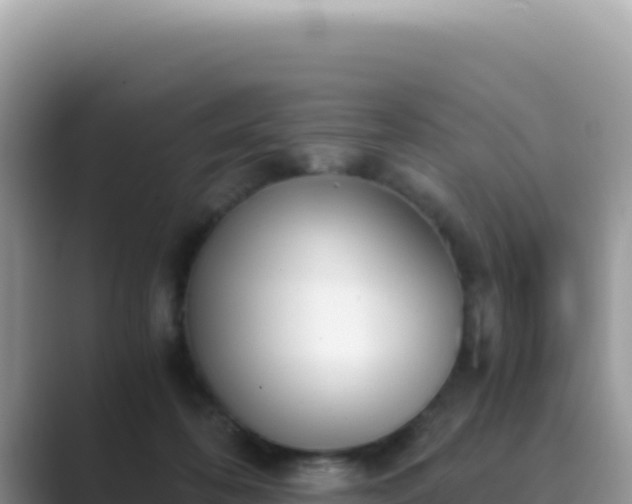 X0000089850316200707051120