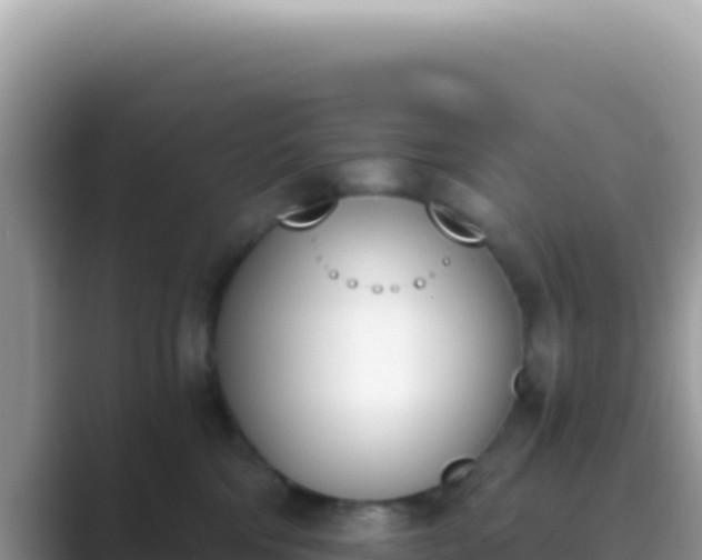 X0000089850330200707051120