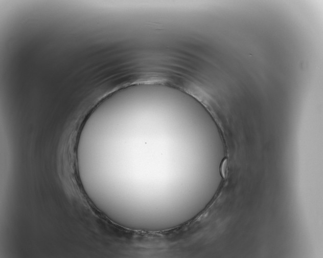 X0000089850337200707051119