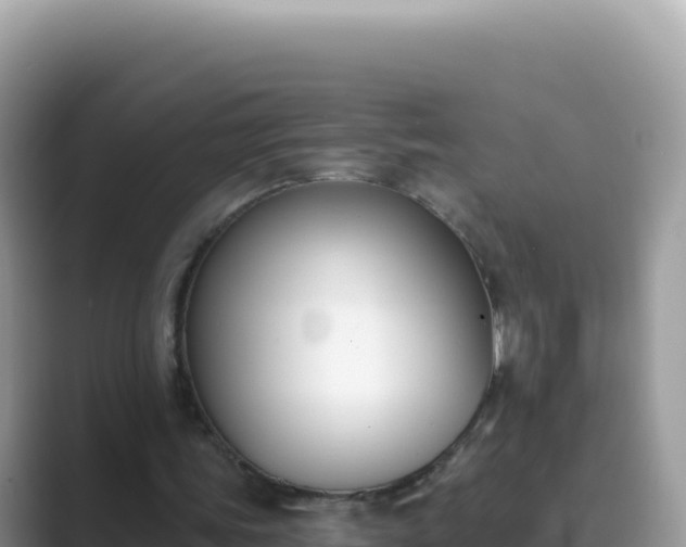 X0000089850339200707051119