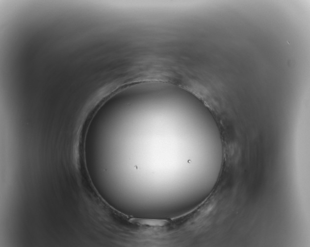 X0000089850340200707051119