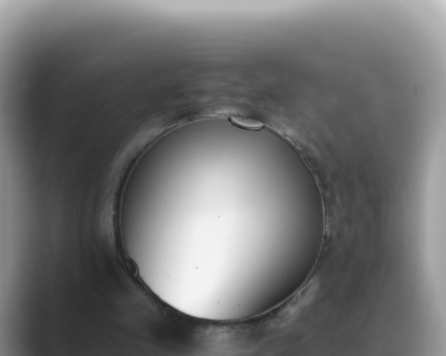 X0000089850341200707051119