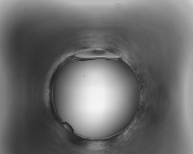 X0000089850342200707051119