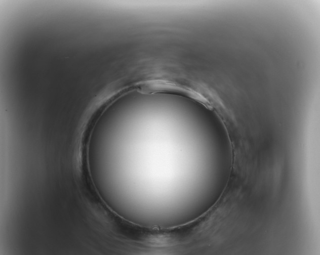 X0000089850344200707051119