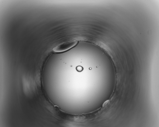 X0000089850345200707051119