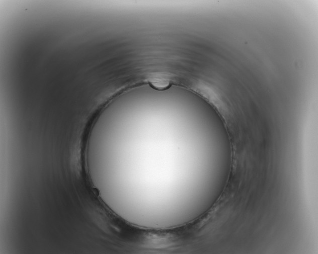X0000089850346200707051119