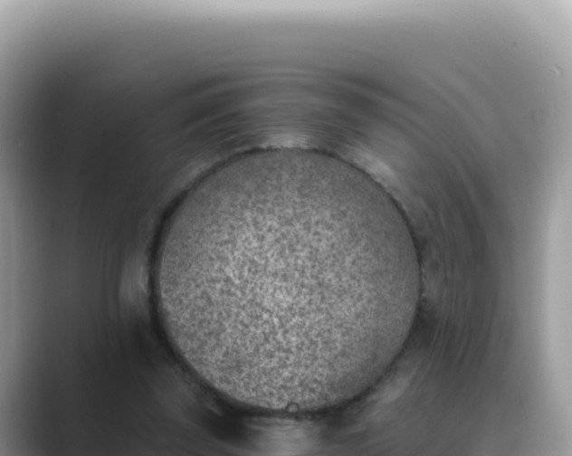 X0000089850347200707051119