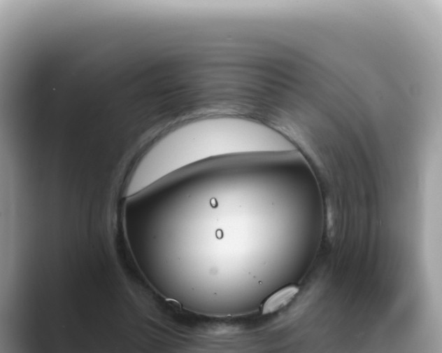 X0000089850348200707051119