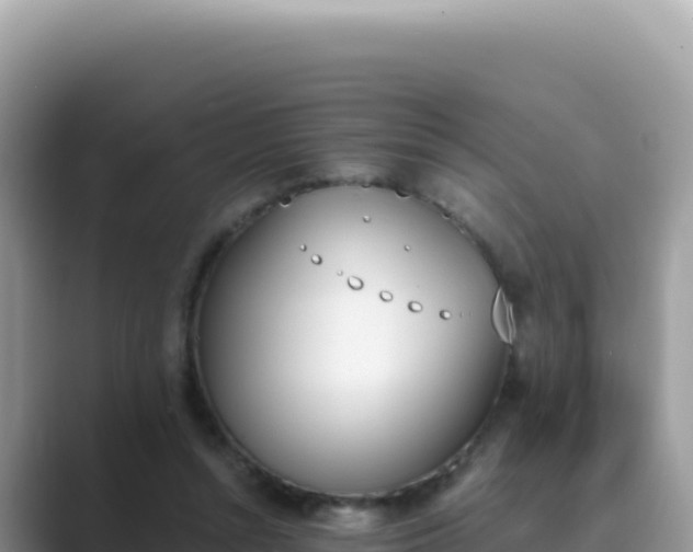 X0000089850352200707051119