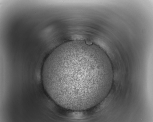 X0000089850353200707051119