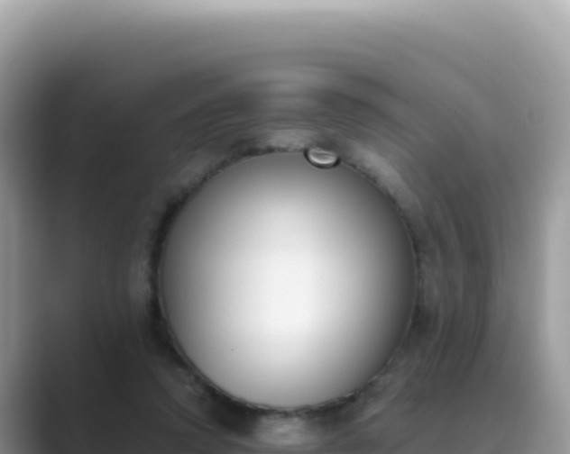 X0000089850354200707051119