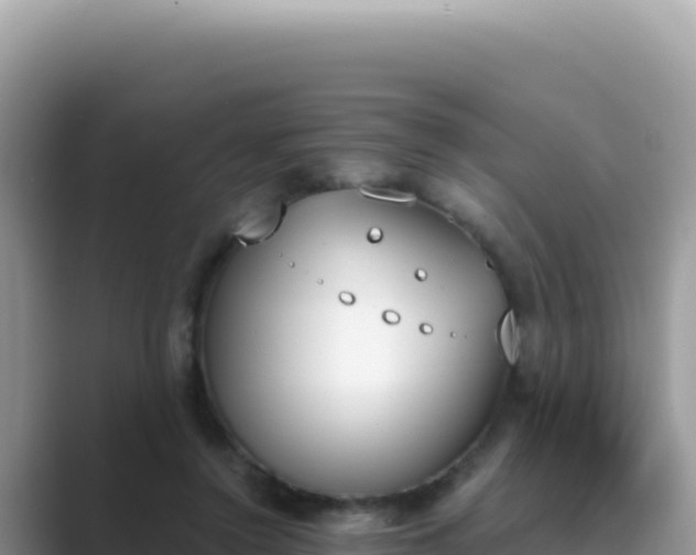 X0000089850356200707051119