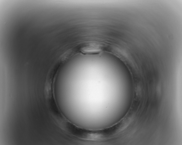 X0000089850360200707051119