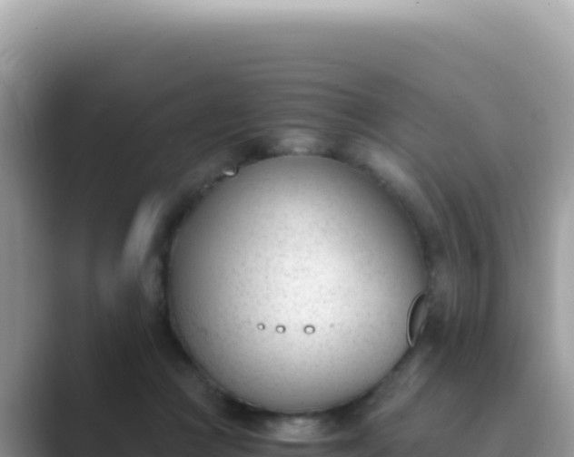 X0000089850361200707051119
