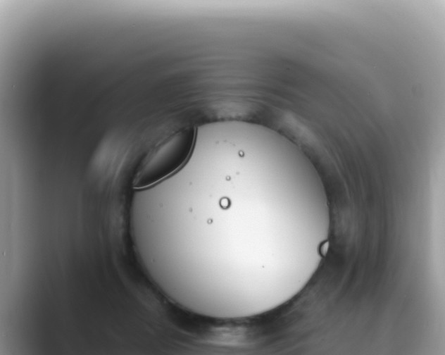 X0000089850362200707051119