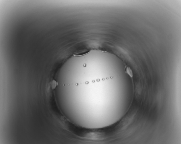 X0000089850364200707051119