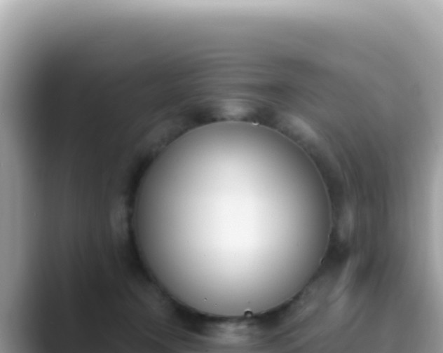 X0000089850366200707051119