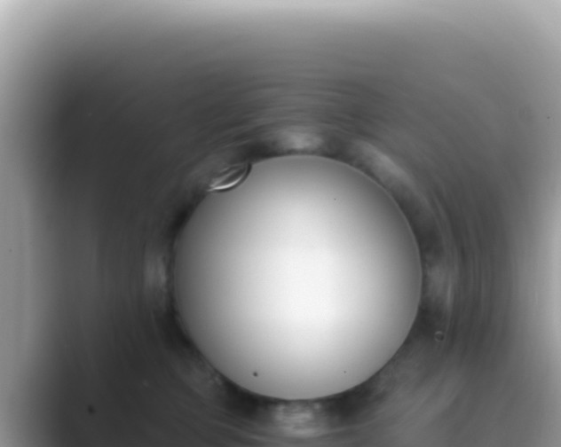 X0000089850373200707051119
