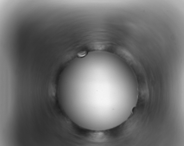 X0000089850374200707051119