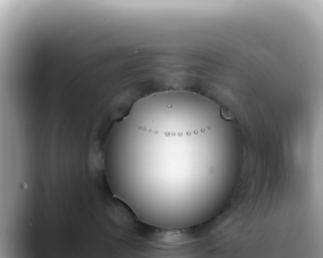 X0000089850384200707051120