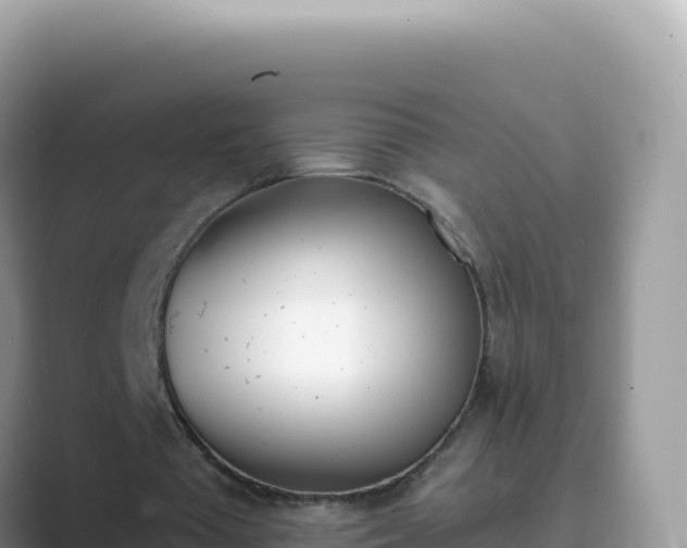 X0000089850385200707051119