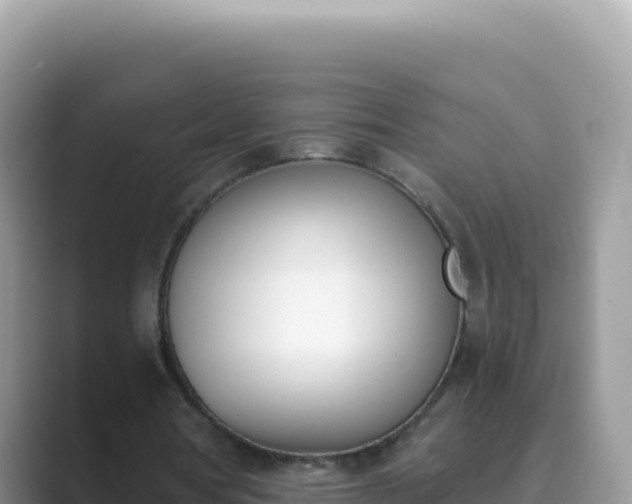 X0000089850386200707051119