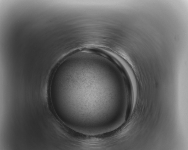X0000089850387200707051119