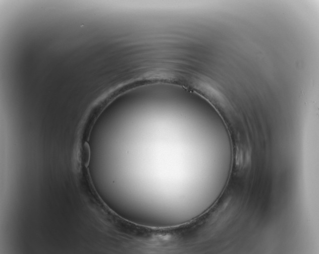 X0000089850388200707051119