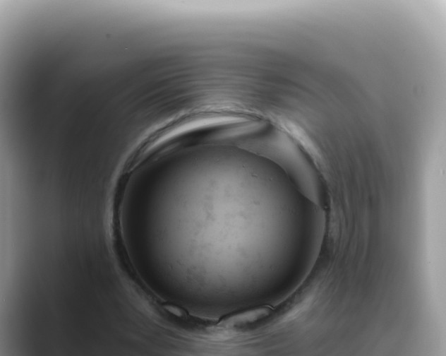 X0000089850391200707051119