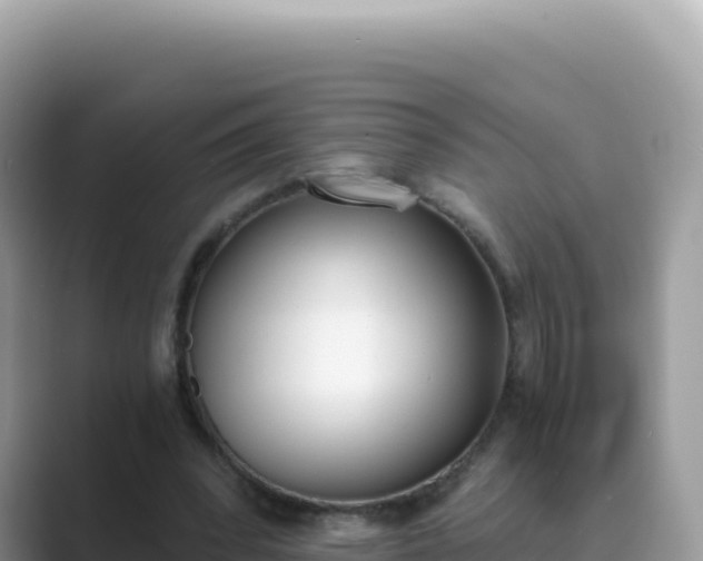 X0000089850392200707051119