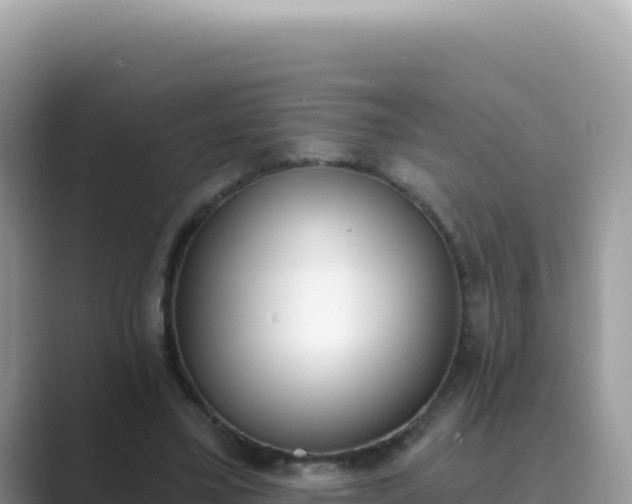 X0000089850395200707051119