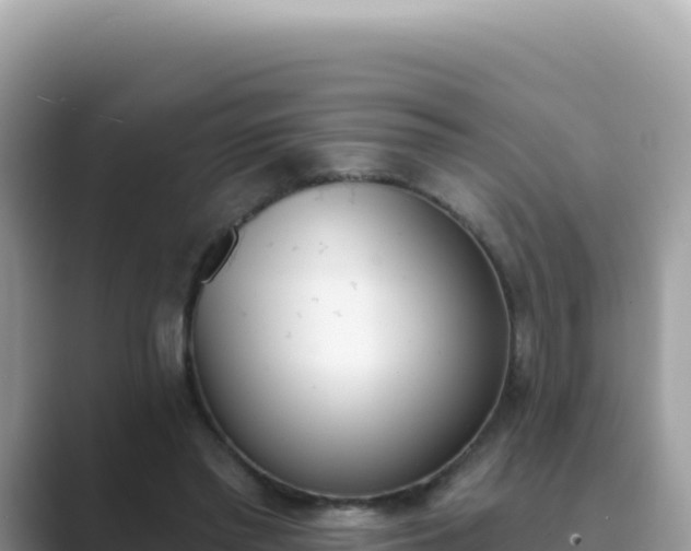 X0000089850397200707051119