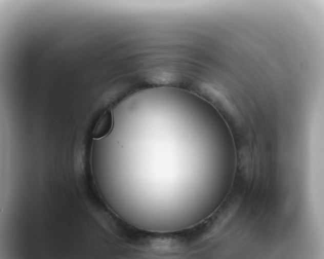 X0000089850400200707051119