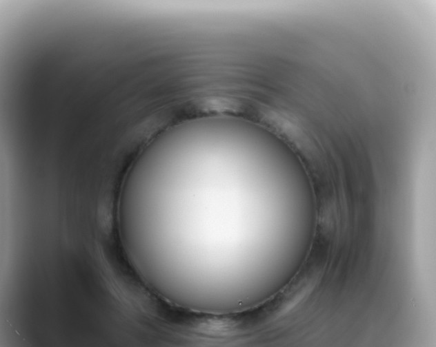 X0000089850402200707051119