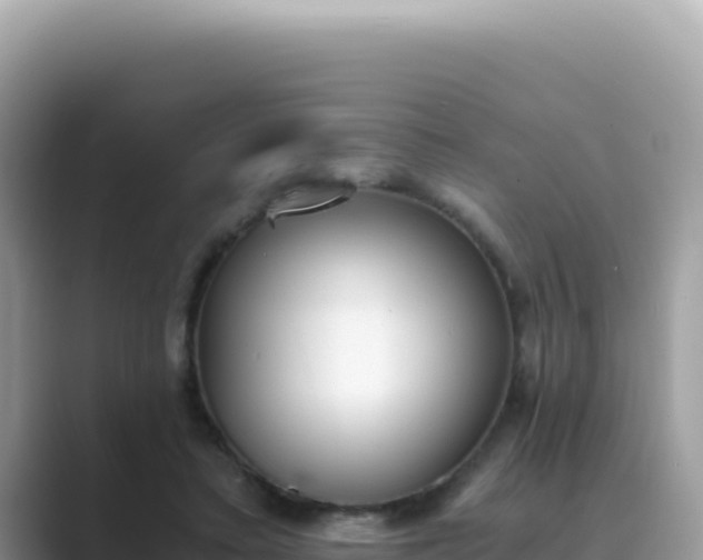 X0000089850403200707051119