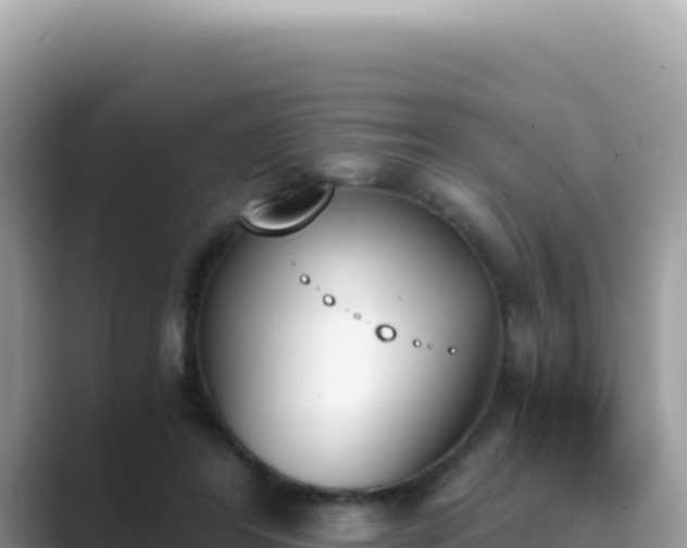 X0000089850404200707051119